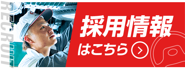 採用情報はこちら